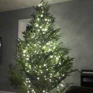 Meet your Posher, Jake